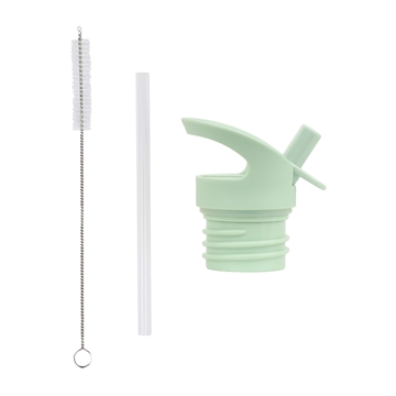 Lid, straw & brush set - Dinosaurs